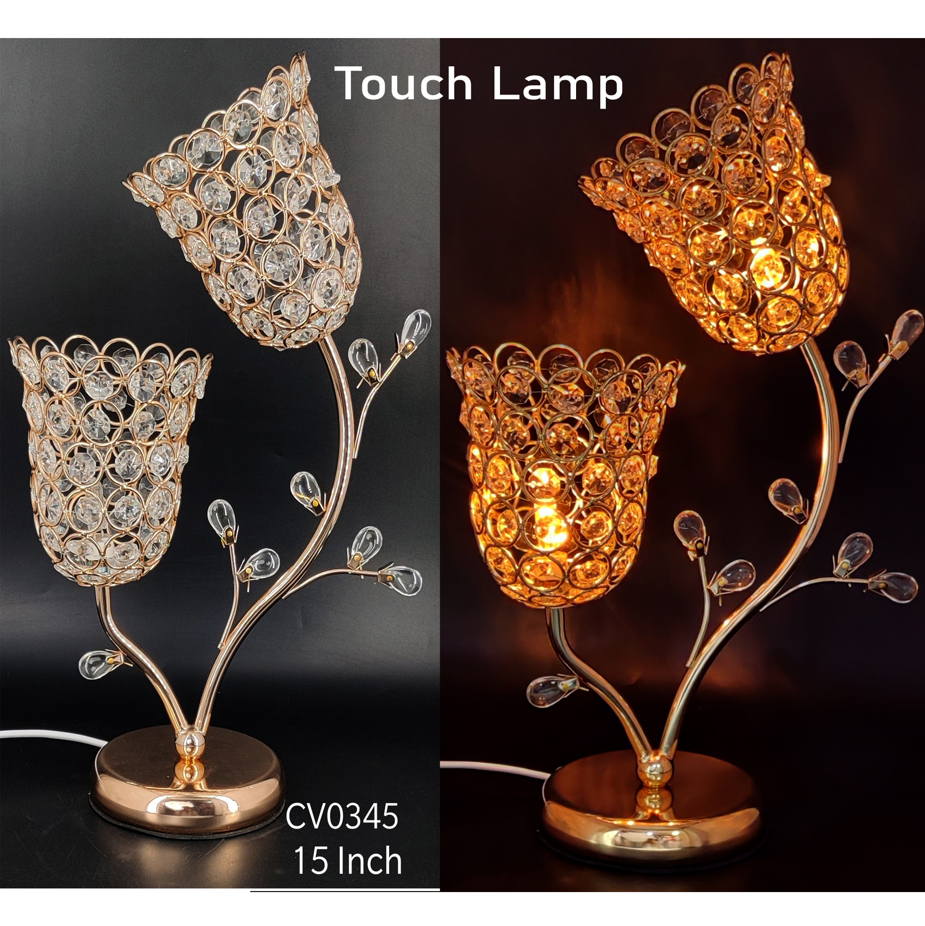 2 IN 1 TOUCH LAMP(12)
